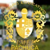 Grupo Imei Pachuca_Logo